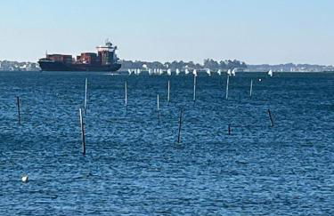 Casa Maeca. En la playa y recién reformada. - Foto 53