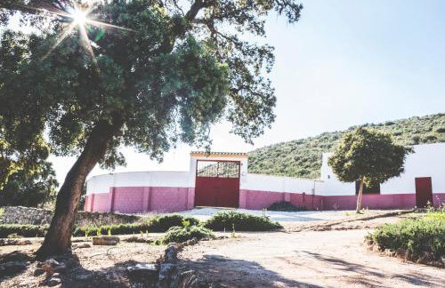 Charming house in Estepa with shared pool. - Foto 21
