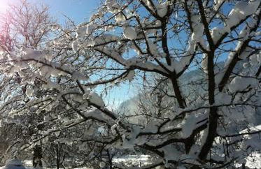 AlpenGlück – **** Ferienwohnung - Foto 12