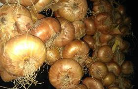 Gacka Valley - Foto 40