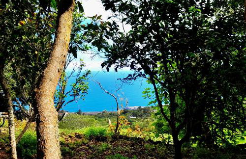 La casita del Lagar - Foto 15