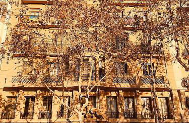 Barceloneta Port Ramblas - Foto 29