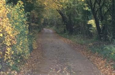 The Piggery, a perfect country hideaway - Photo 32