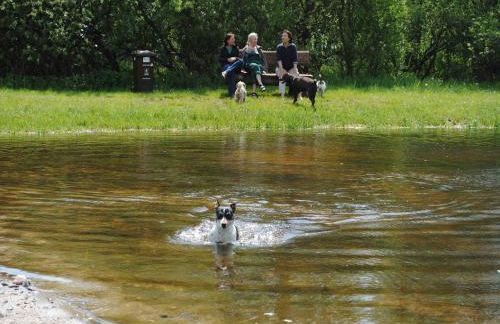 Gut Karlsminde - Foto 62