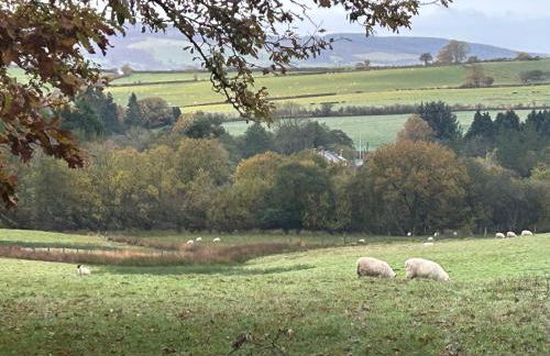 Ty Mawr, The Old School Holiday Homes - Pet Friendly - Foto 55