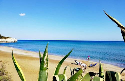 Casa la conchiglia sulla spiaggia - Foto 3