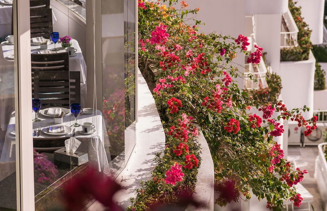 Grand Miramar All Luxury Suites & Residences - Foto 59