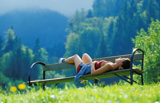 Haus am Wald - Foto 20