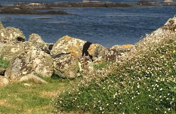 Seaside Log Cabin, Carna - Foto 16