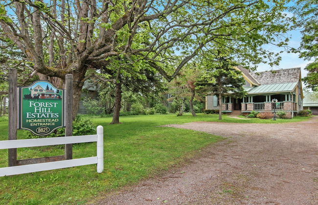 Avonlea Forest Hill Cottages - Foto 68