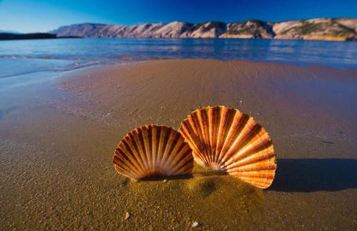 Apartment in Lopar with Terrace, Air conditioning, WIFI, Dishwasher (4612-1) - Foto 22