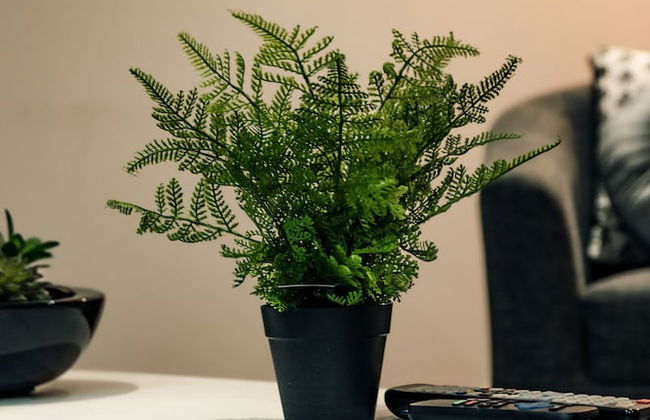 Bv Apartments Conditioning House Bradford - Photo 28