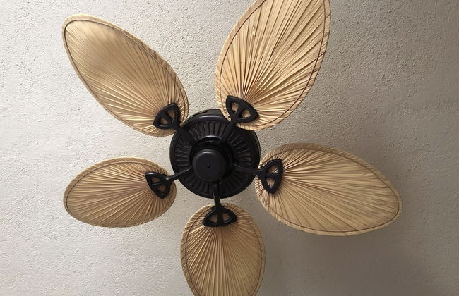 Cabo Vista Hotel - Adults only - Foto 21