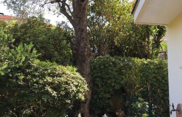 "L'olivadou" ST JEAN CAP FERRAT - Foto 18