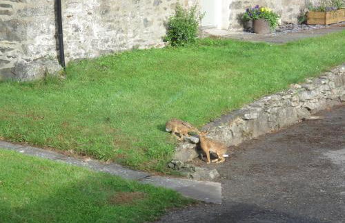 Ballinduin Bothy - Foto 16