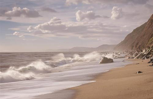 Sunny Side - in the Heart of Beer - Foto 31