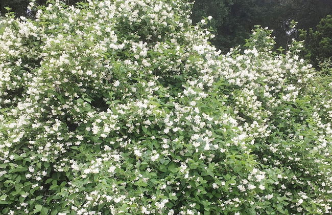 6 Person Holiday Home in Vrigstad - Foto 19