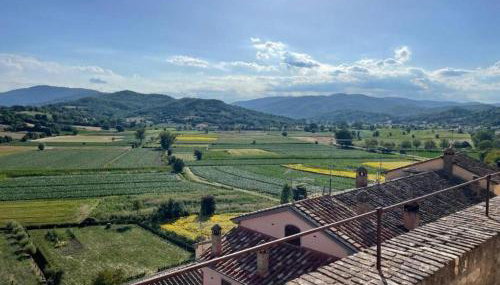 Casa Pifaro - Foto 4