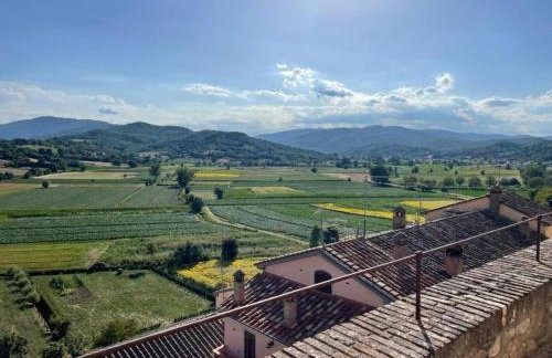 Casa Pifaro - Foto 4