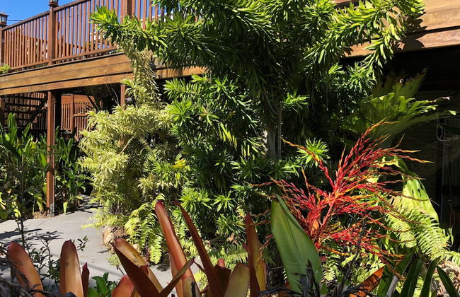 Five 3 Five - The Beachside Barracks - Foto 1