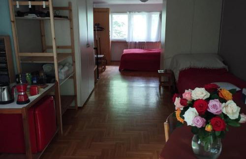 Pokój w domu z ogrodem w Milanówku - Foto 8