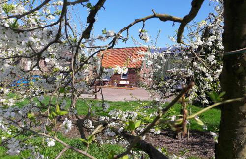 Gemütliches Häuschen im Alten Land - Foto 2