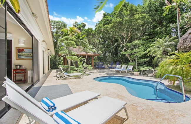 Beautiful Villa Tortuga at Puntacana Resort Club Pool Garden Golf Cart Maid - Photo 41