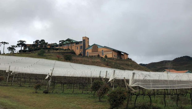 Vineyards of ão Joaquim