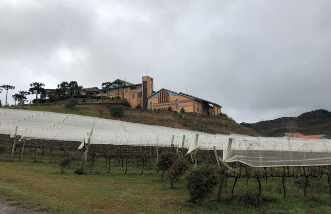São Joaquim Wine Tour - Photo 3