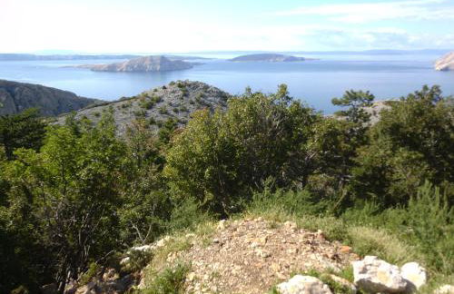 Apartments Jug - Foto 42