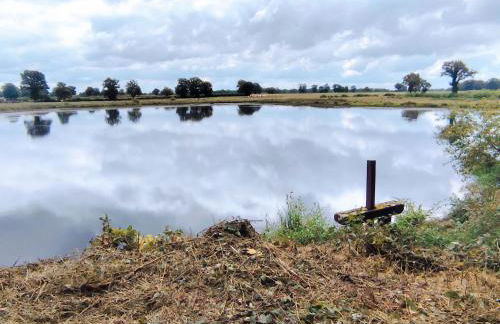 Maison plain-pied à la campagne avec jardin privatif, barbecue, proche Parc de la Brenne et Châteauroux - FR-1-591-599 - Foto 20