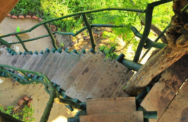 Beddegama Eco - Photo 40