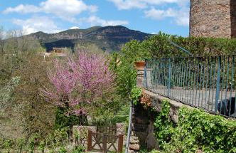 Can Salgueda - Photo 9