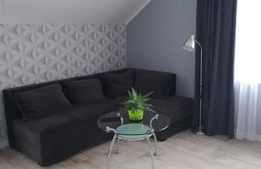 Apart-noclegi - Foto 21