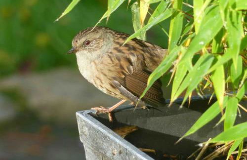 Sunset View one bedroom luxury cottage in an idyllic setting - Foto 45