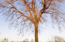 Maison de La Beslière meublé de tourisme 2 étoiles - Foto 33