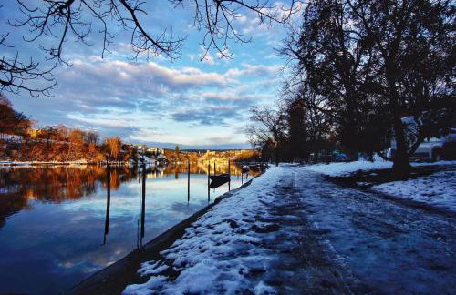 Secret Garden - Foto 52