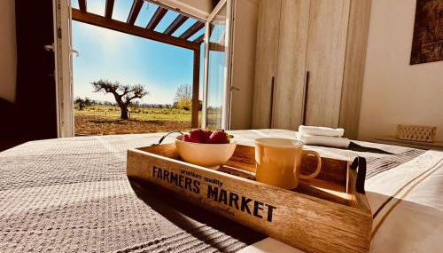 Agriturismo Il Querciolo - Photo 2