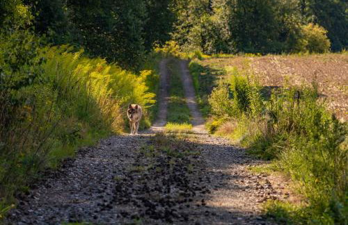 Water Hideout - Floating Luxury in Pure Wilderness - Foto 44
