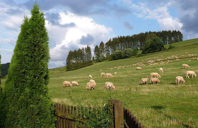 Graceful Apartment with Garden in Velmede near City Center - Foto 32