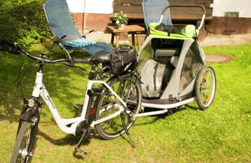 Chalet in Reinskopf with Fireplace & Balcony - Foto 40