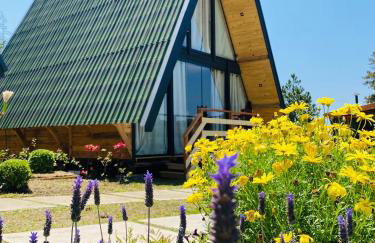 Chalés entre Nuvens - Foto 2