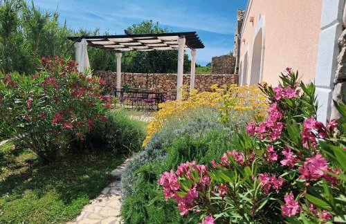 Villa Cesarica Novalja - Photo 60