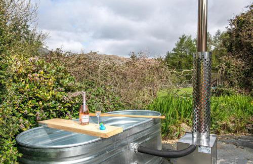 Pen-Y-Bryn Cottage - Foto 40