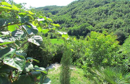 Summerhouse Beram - Foto 39