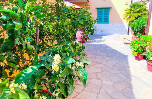 Cuore di Nozzano Castello - Foto 47