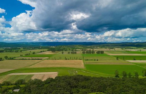 Villa Škavre - Foto 56