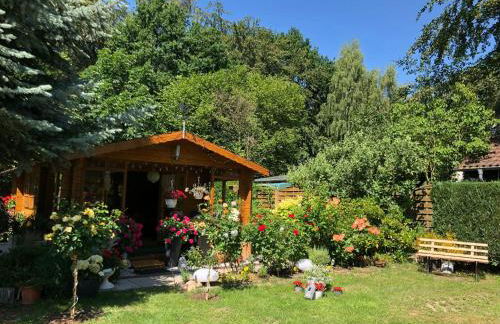 Auszeit am Petersdorfer See - Foto 13