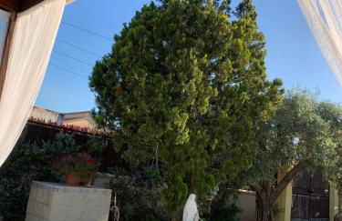 Villa Biniritta - Foto 16