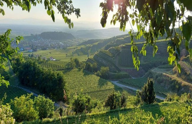 Holiday Apartment Monet in Oberrotweil - Foto 26